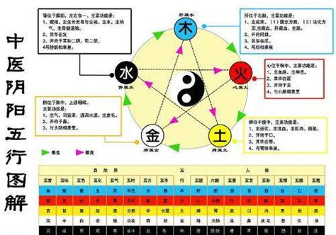 金生水原理|怎么理解五行理论中的“金生水”？